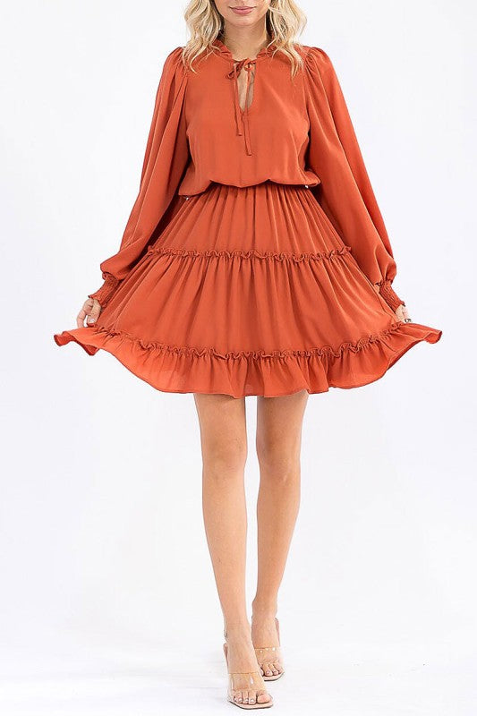 Long Sleeve V-neck Elastic Waist Tiered Mini Dress